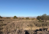 Suelo urbano en venta en la España, La Marina, ref: TR388030 foto