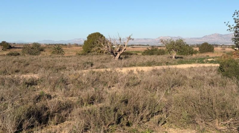 Asturias - La Marina - 25000m2
