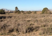 Suelo urbano en venta en la España, La Marina, ref: TR388030 foto