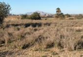 Suelo urbano en venta en la España, La Marina, ref: TR388030 foto