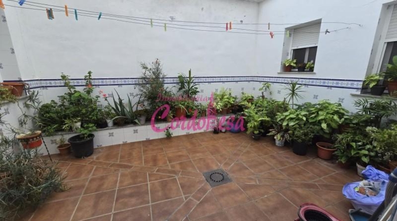 Córdoba - Córdoba - 360m2