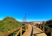 Casa de pueblo en venta en la España, Guardamar del Segura, ref: TR292286 foto