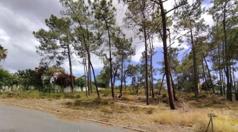 Huelva - Isla Cristina - 1247m2