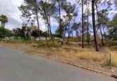 Suelo urbano en venta en la España, Isla Cristina, ref: TR356591 foto