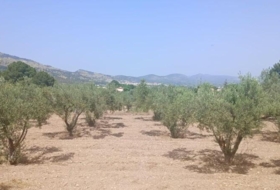 Foto 8