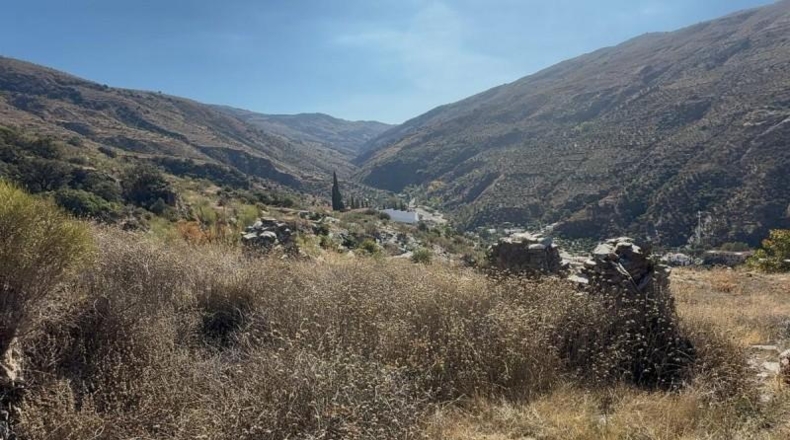 Granada - Torvizcón - 180000m2