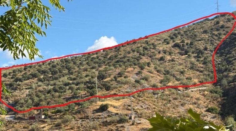 Granada - Torvizcón - 180000m2