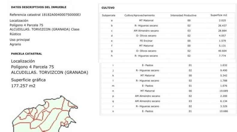 Granada - Torvizcón - 180000m2