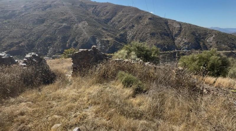 Granada - Torvizcón - 180000m2