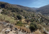 Terreno no urbanizable en venta en la España, Torvizcón, ref: TR374409 foto