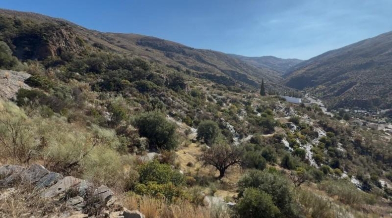 Granada - Torvizcón - 180000m2