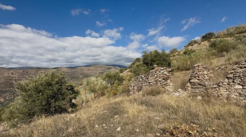 Granada - Torvizcón - 180000m2