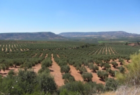 Lucena 7144&nbsp;m²