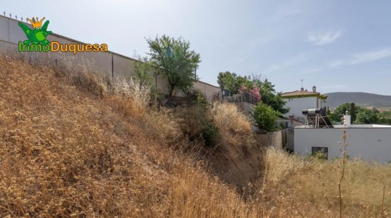 Jaén - Сантистебан-дель-Пуэрто - 500m2