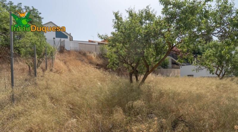 Jaén - Сантистебан-дель-Пуэрто - 500m2