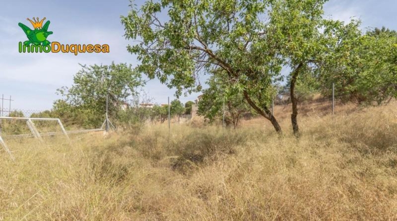 Jaén - Сантистебан-дель-Пуэрто - 500m2