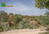 Parcela urbanizable en venta en la España, Villa de Otura, ref: TR367349 foto
