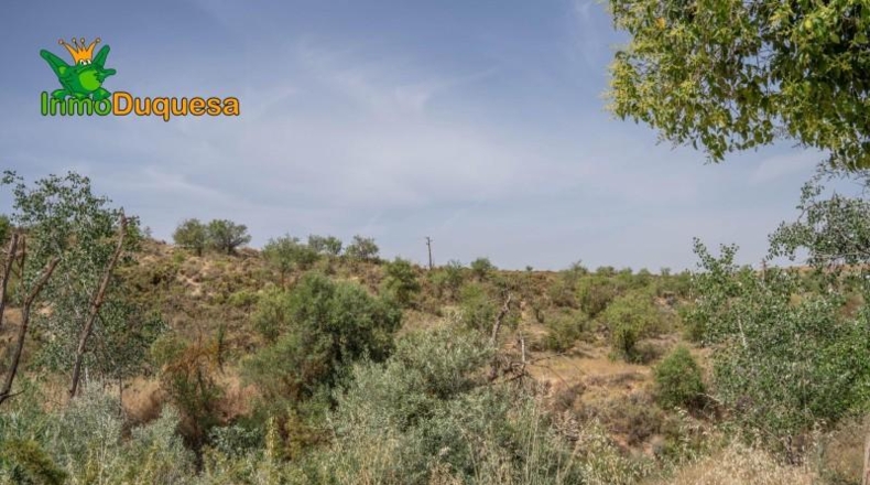 Jaén - Сантистебан-дель-Пуэрто - 500m2