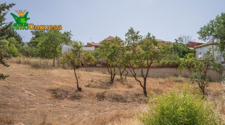 Jaén - Сантистебан-дель-Пуэрто - 500m2
