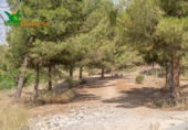 Parcela urbanizable en venta en la España, Villa de Otura, ref: TR367349 foto