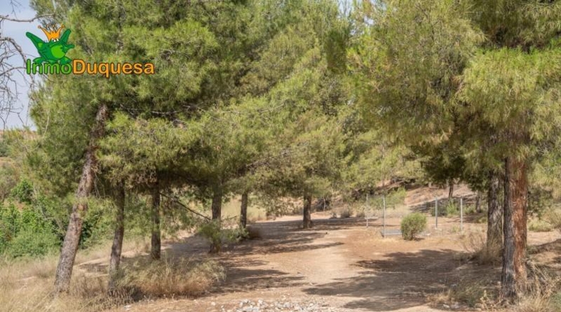 Jaén - Сантистебан-дель-Пуэрто - 500m2