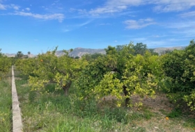 Murcia 3101&nbsp;m²