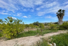 Murcia 3101&nbsp;m²