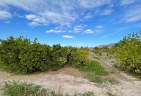Murcia 3101&nbsp;m²