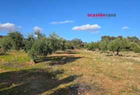 La Granjuela 29540&nbsp;m²