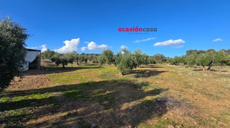 Córdoba - La Granjuela - 29540m2