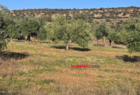 La Granjuela 29540&nbsp;m²