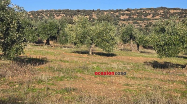 Córdoba - La Granjuela - 29540m2