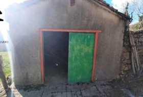 Foto 9