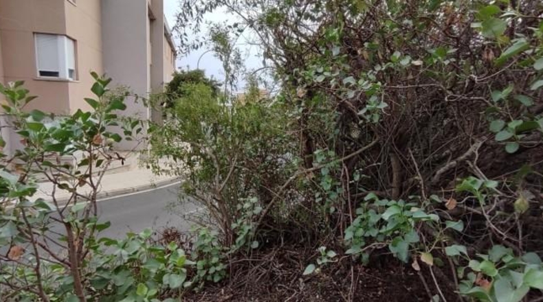 Santa Creu de Tenerife - Fasnia - 353m2