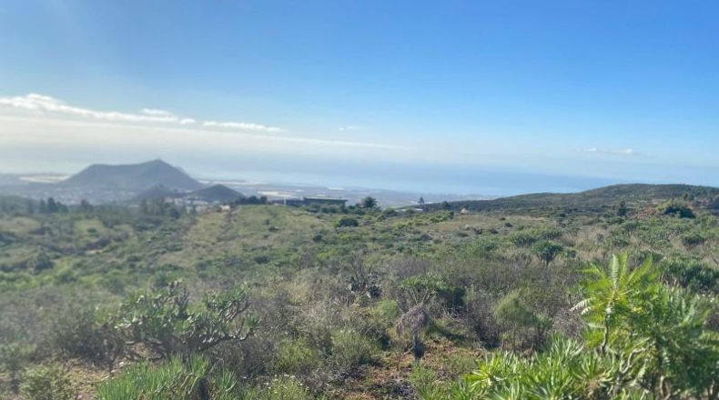 Santa Creu de Tenerife - Granadilla de Abona - 7673m2