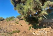Terreno no urbanizable en venta en la España, Granadilla de Abona, ref: TR407079 foto