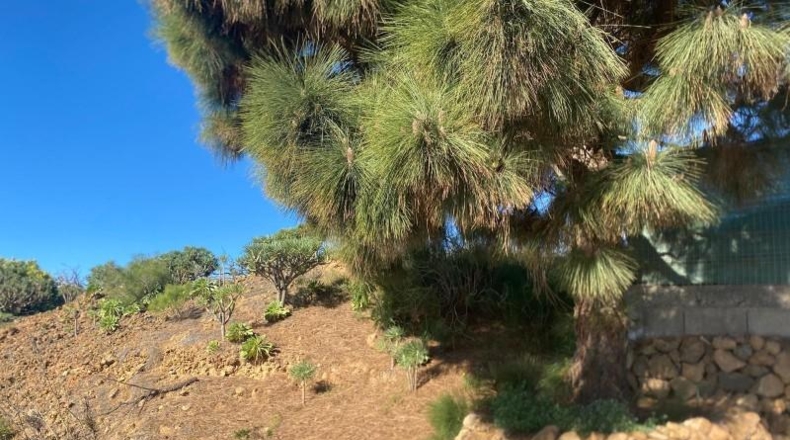 Santa Creu de Tenerife - Granadilla de Abona - 7673m2