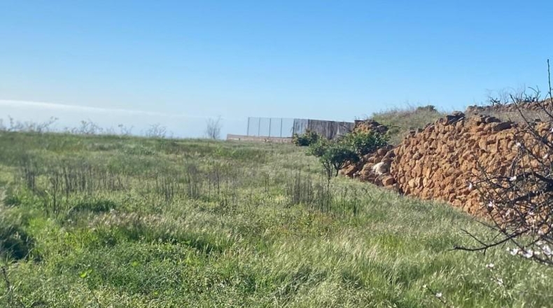 Santa Creu de Tenerife - Granadilla de Abona - 7673m2