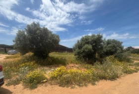 Barbate 800&nbsp;m²