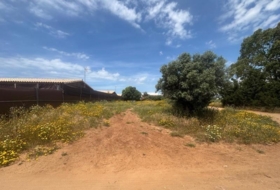 Barbate 800&nbsp;m²