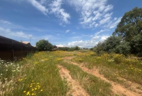 Barbate 800&nbsp;m²