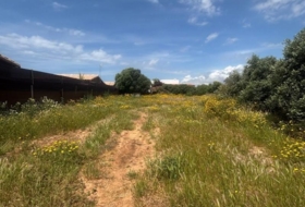 Barbate 800&nbsp;m²