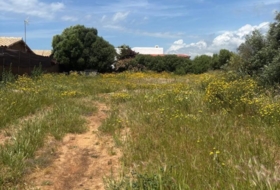 Barbate 800&nbsp;m²
