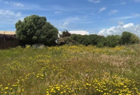 Barbate 800&nbsp;m²
