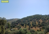 Casa con terreno en venta en la España, Montoro, ref: TR412048 foto