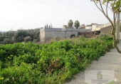 Land suitable for development for sale on España, Niebla, ref: TR343219 photo