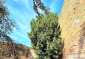 Casa de pueblo en venta en la España, Brenes, ref: TR370607 foto