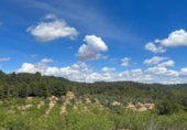 Detached villa with land for sale on España, Horta de Sant Joan, ref: TR302960 photo