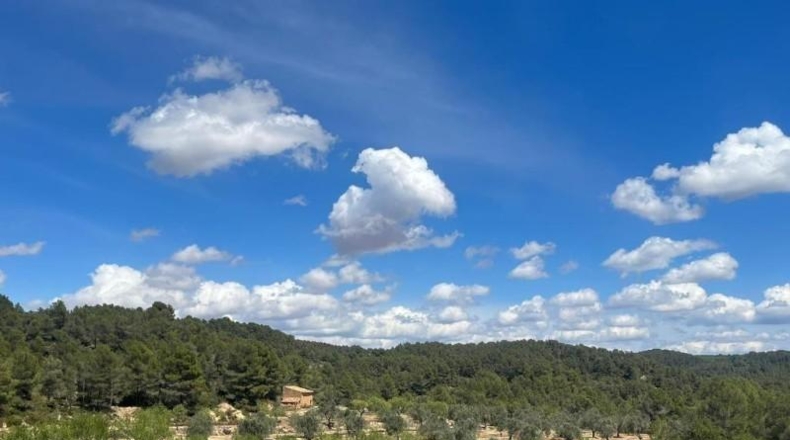 Tarragona - Орта-де-Сант-Жоан - 205515m2