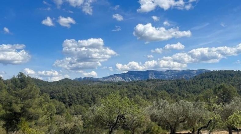 Tarragona - Орта-де-Сант-Жоан - 205515m2